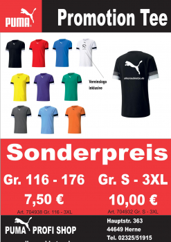 Puma teamRise Promotion Tee